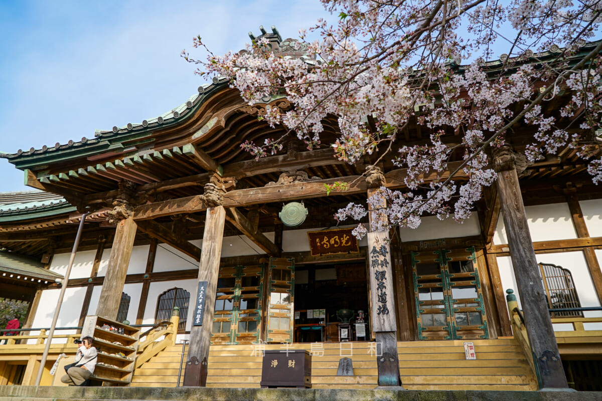 光明寺・本堂(大殿)(撮影日:2018.04.01)