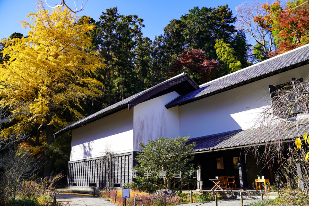 東慶寺・松岡宝蔵とイチョウの黄葉（撮影日：2020.12.16）