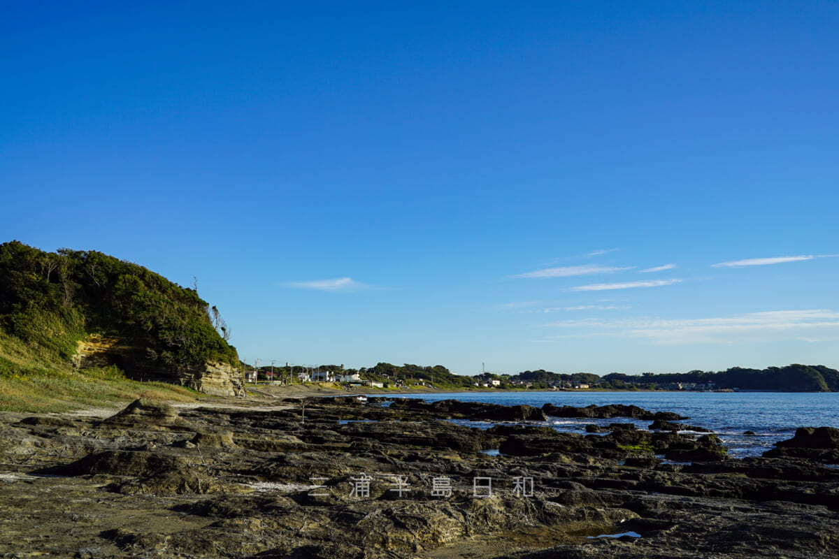 三戸浜海岸・黒崎の鼻近くの岩礁(撮影日:2020.11.05)