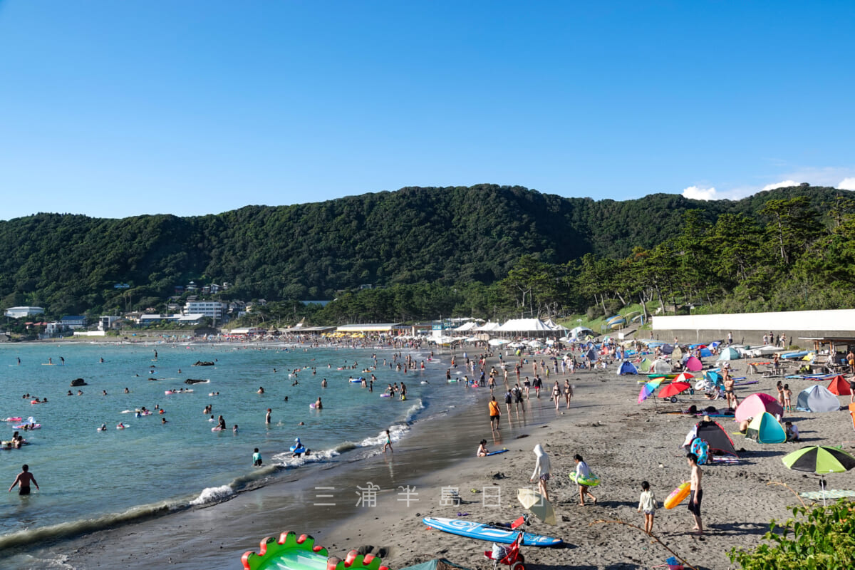 一色海岸・海水浴客で賑わう海岸（撮影日：2019.08.11）