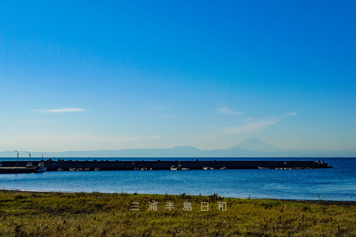 三戸浜海岸・初声漁港と秋の富士山(撮影日:2020.11.05)