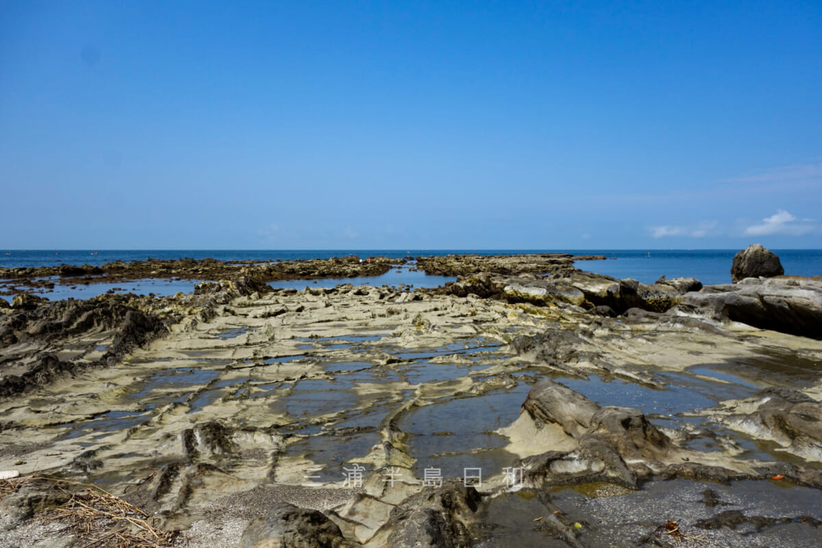 一色海岸・干潮時の小磯の鼻先の岩礁（撮影日：2020.08.04）