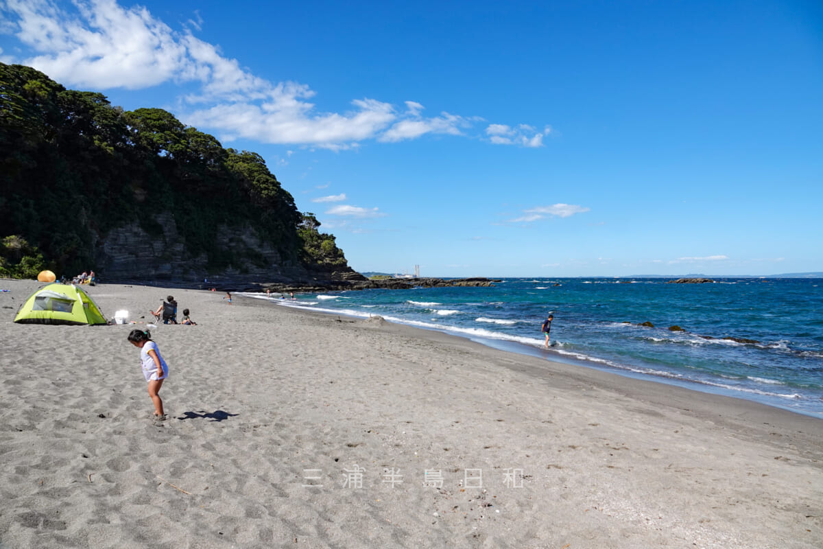 大浦海岸・海岸中央より北側の岩場の方を見る(撮影日:2018.08.13)