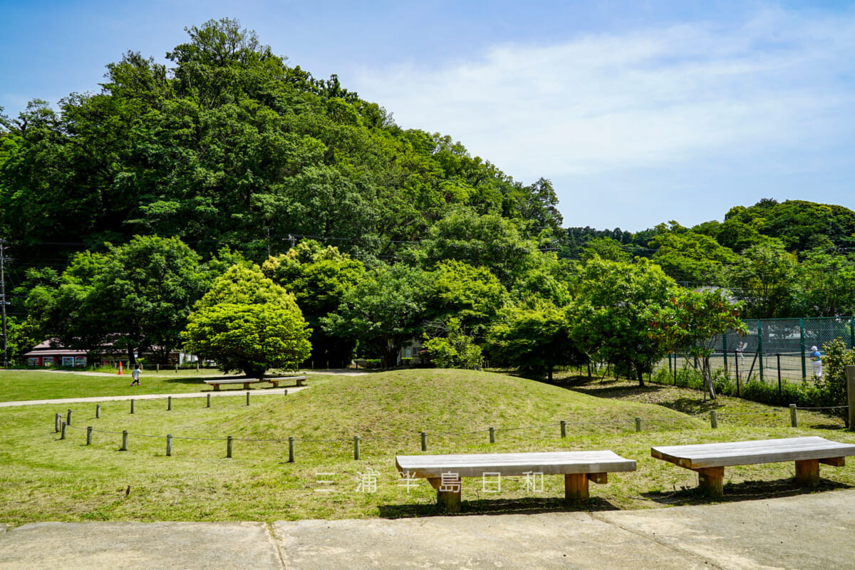 永福寺跡・復元された中ノ島（撮影日：2021.05.10）