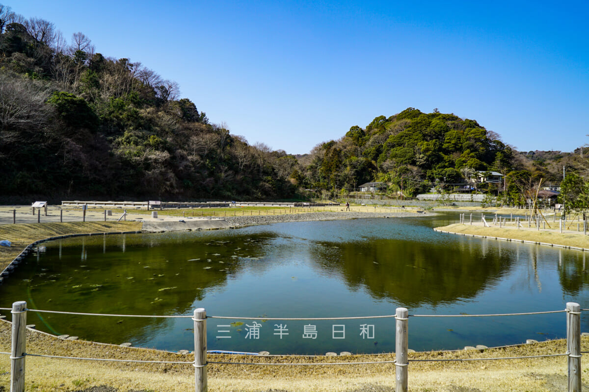 永福寺跡・池の南側から建物跡方面を見る(撮影日:2018.03.14)