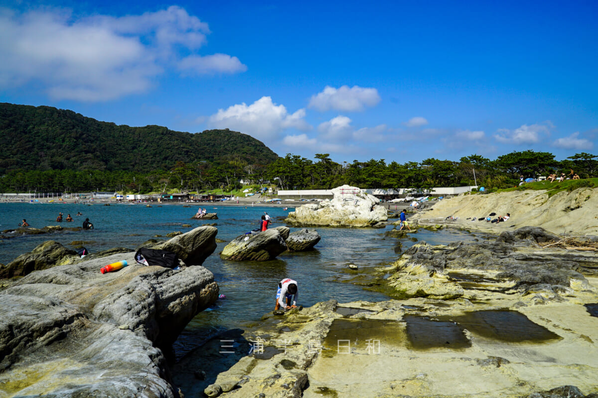 一色海岸・小磯の鼻の先の岩場から一色海岸の砂浜方面を望む(撮影日:2021.08.30)