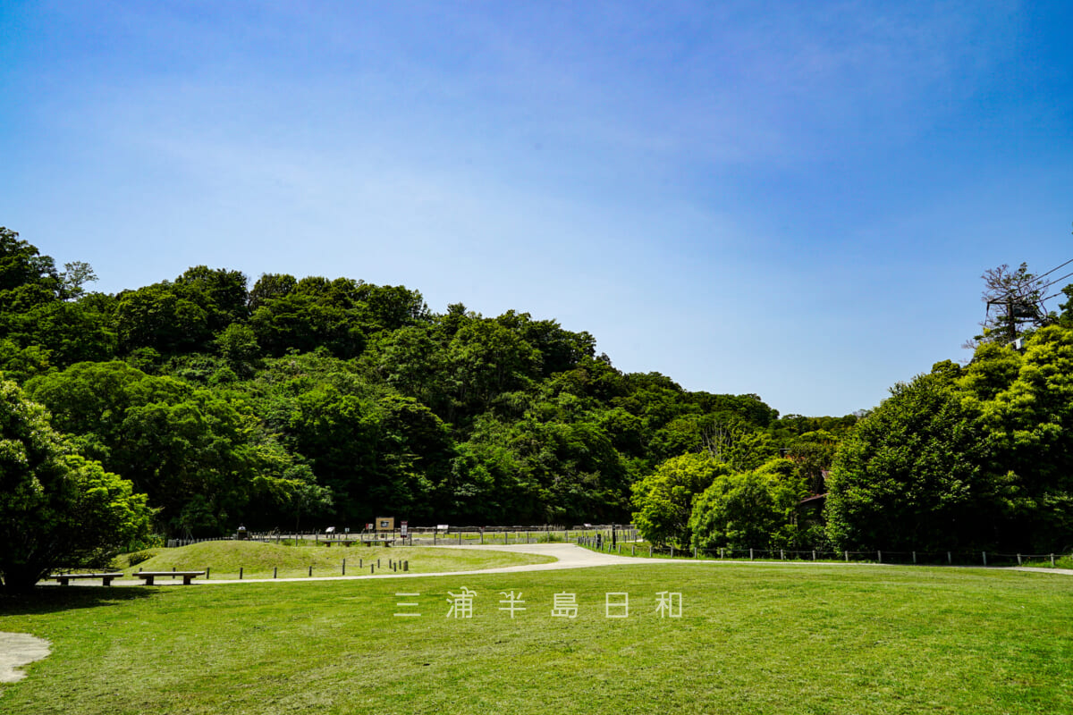 永福寺跡・本来の池の範囲の東端から見た境内跡（撮影日：2021.05.10）