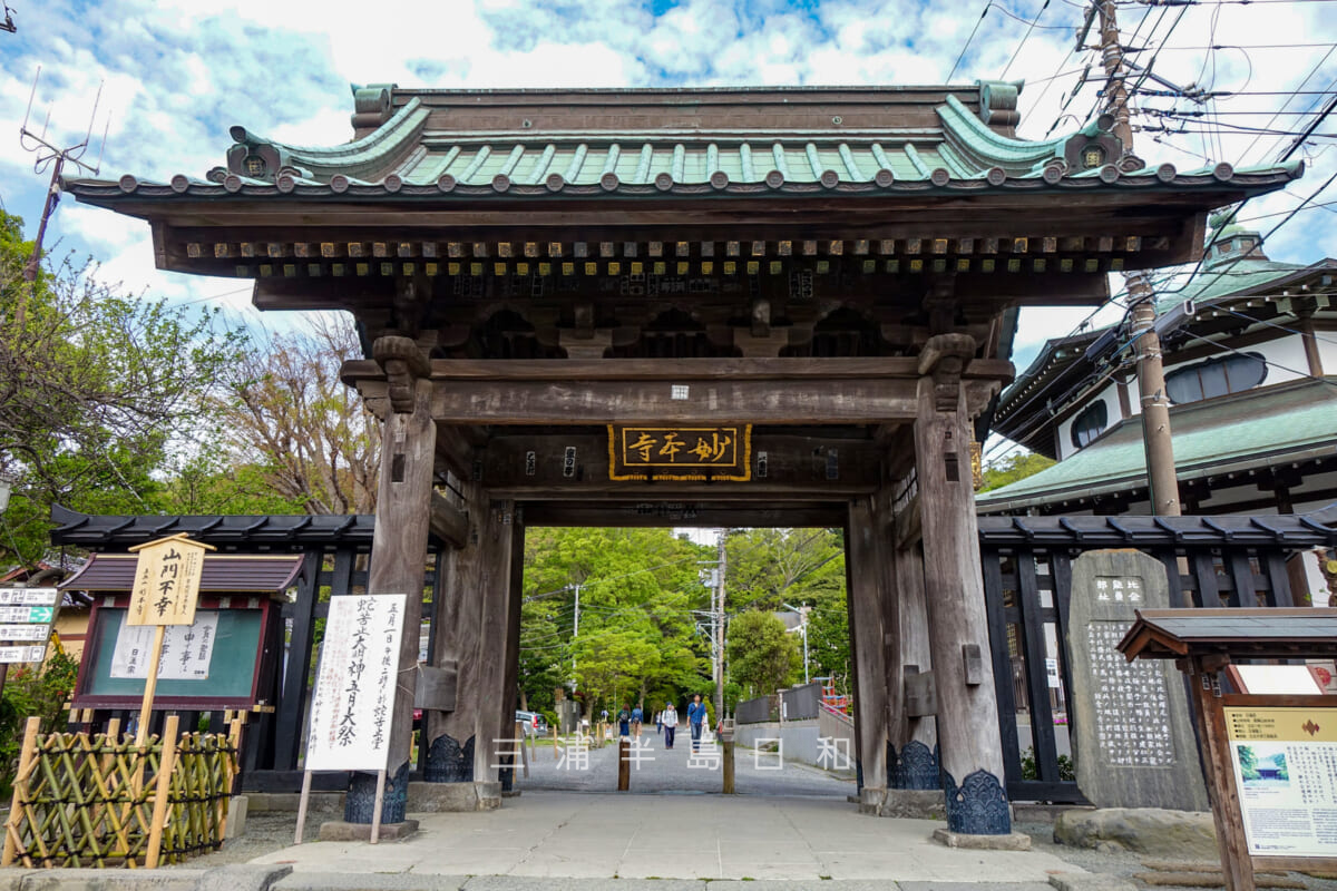 妙本寺・総門（撮影日：2016.04.23）