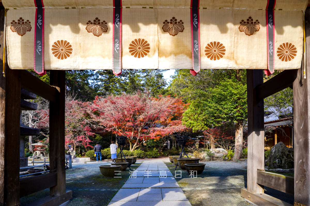覚園寺・山門から見た境内(撮影日:2020.12.08)