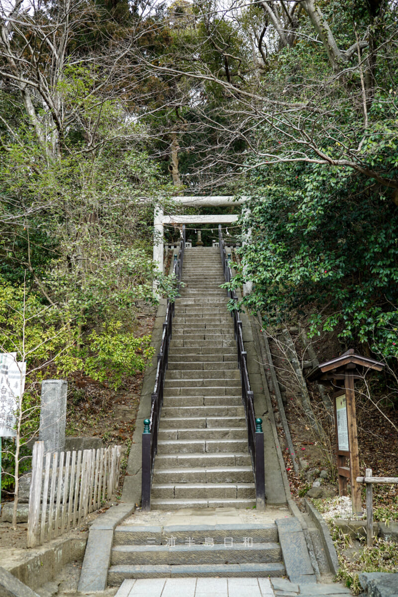 法華堂跡(源頼朝墓)を下から見上げる(撮影日:2019.02.26)