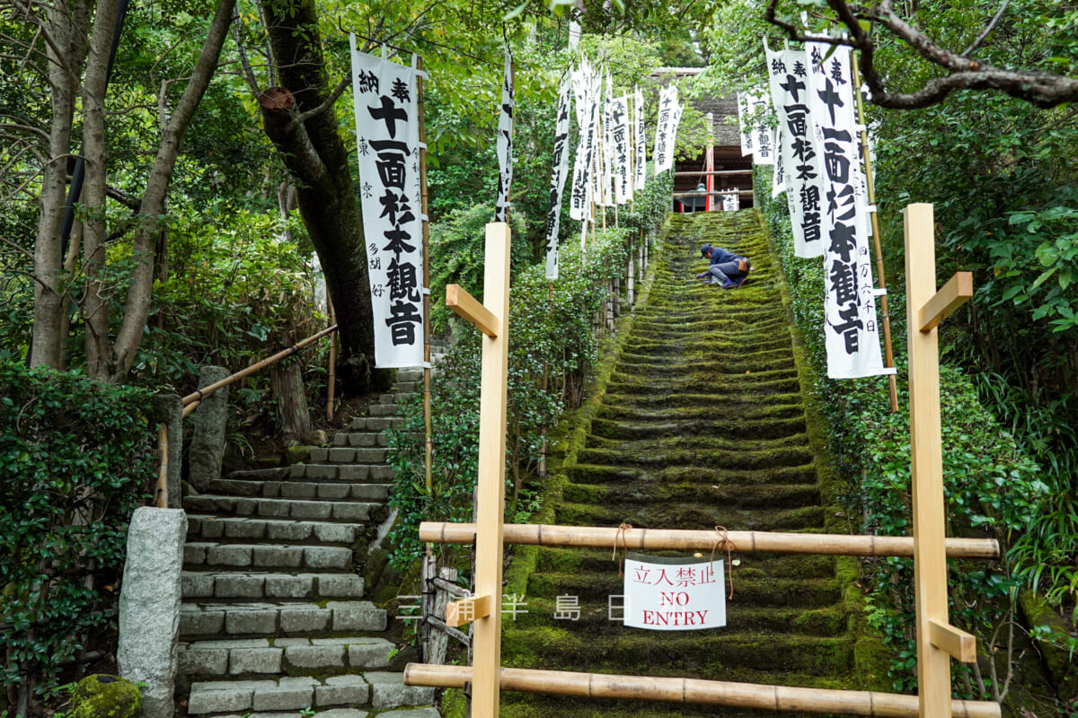 杉本寺(杉本観音)・新旧の石段(撮影日:2021.09.07)