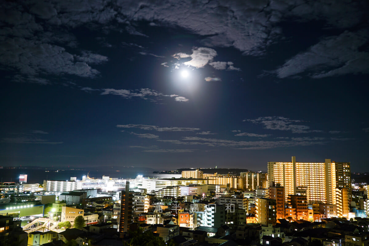 平和中央公園・芝生広場から見た平成町方面の夜景（撮影日：2021.09.21）