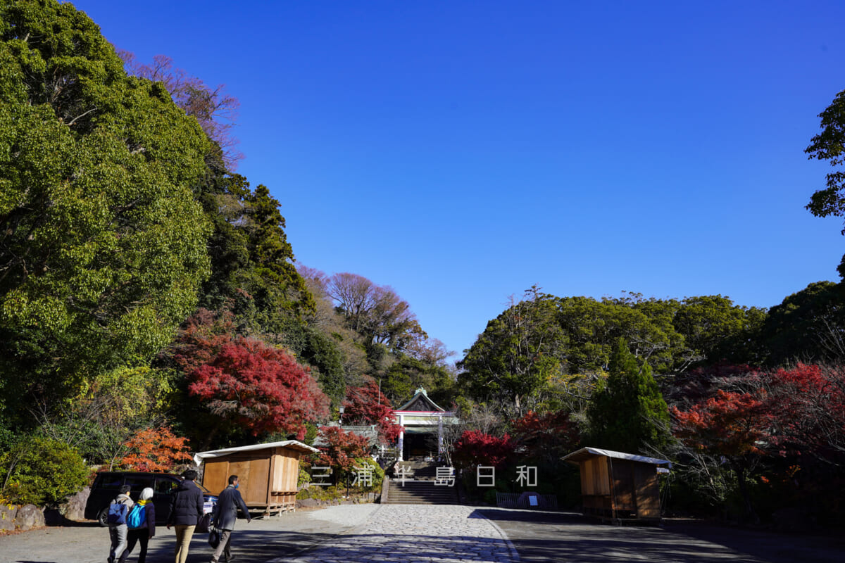 鎌倉宮（大塔宮）・入口の鳥居付近から見た紅葉の頃の境内（撮影日：2020.12.08）