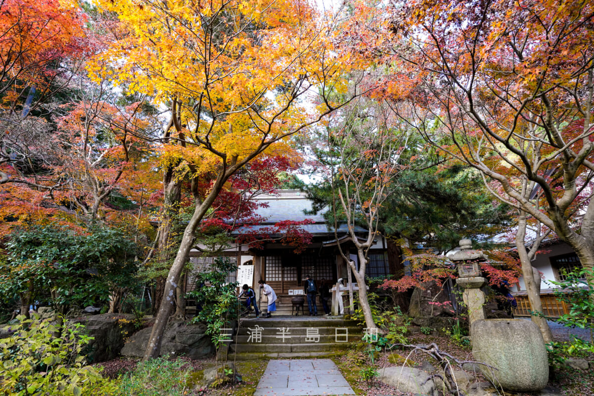 覚園寺・愛染堂前の紅葉（撮影日：2020.12.08）