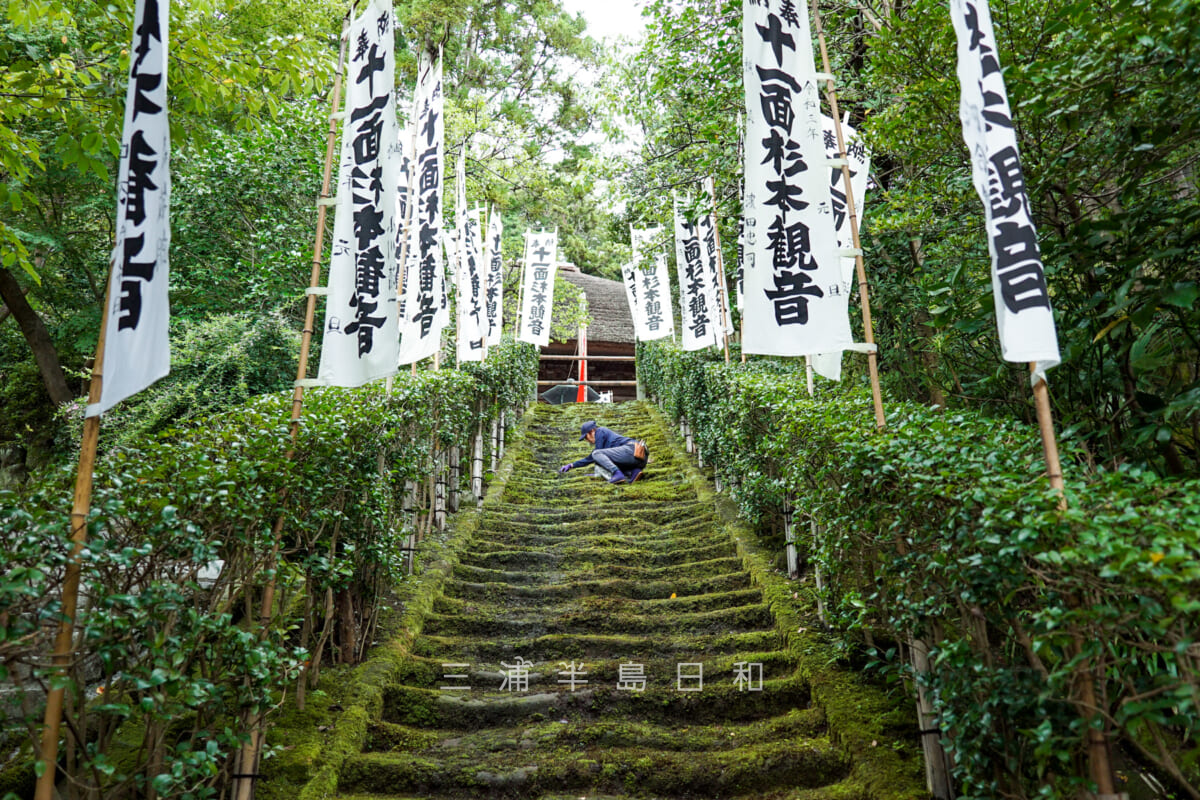 杉本寺(杉本観音)・苔むした石段(撮影日:2021.09.07)
