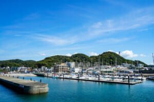 葉山鐙摺港・葉山新港（はやま港海の駅）＆小浜海岸