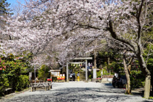 葛原岡神社