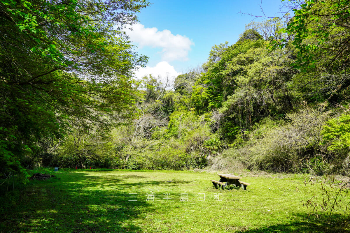 池子の森自然公園・緑地エリア・木立に囲まれた広場-1（撮影日：2021.04.03）