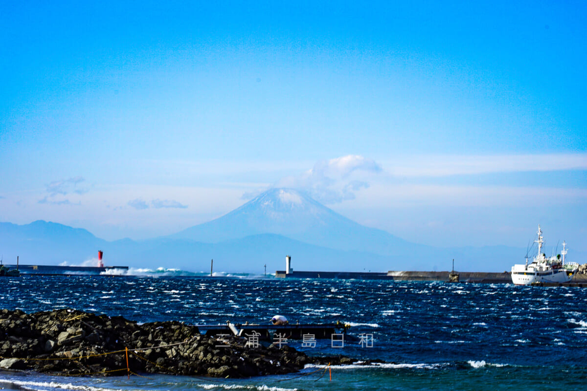 白秋歌碑の前から見た富士山（撮影日：2021.01.07）