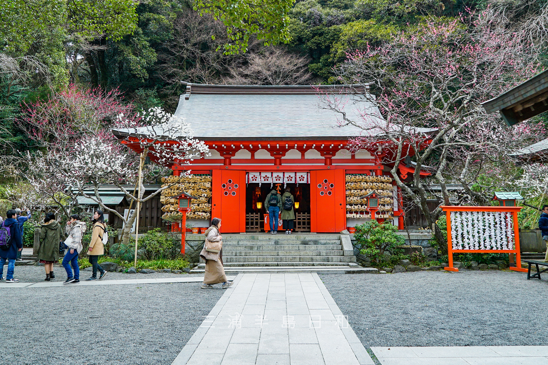 荏柄天神社 | 鎌倉最古の神社建築が残る学問の神様を祀る梅の名所