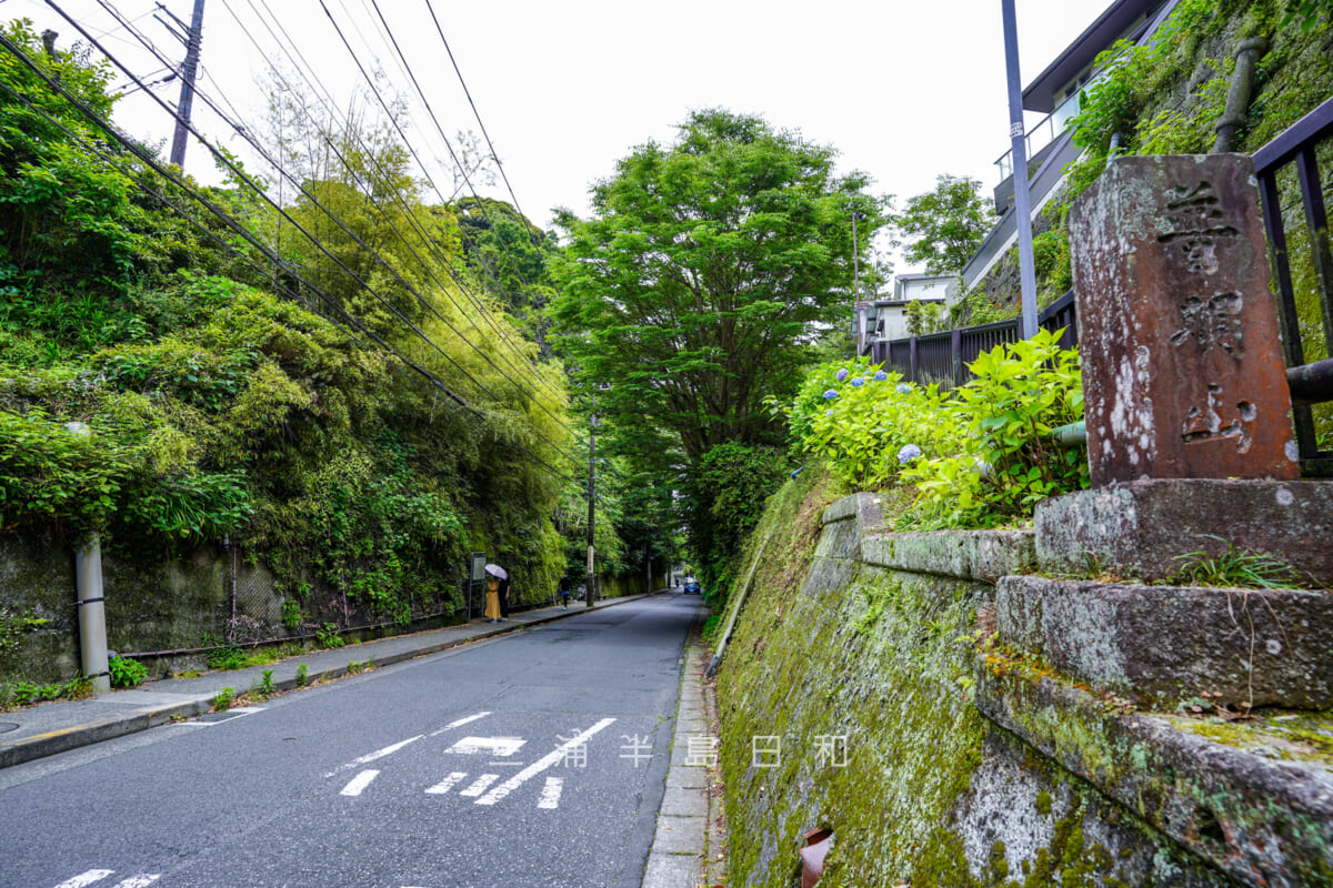 極楽寺坂切通・坂の上から見下ろす、右上の登坂路は成就院の参道(撮影日:2021.05.28)
