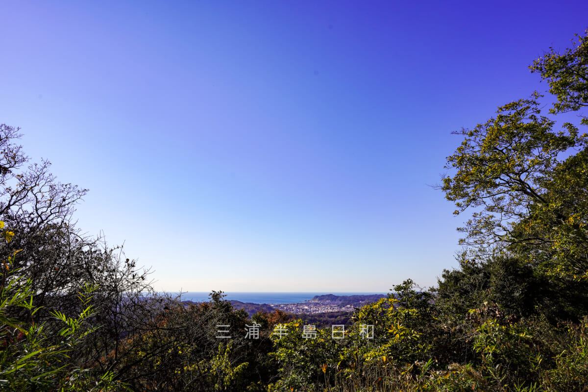 天園から鎌倉市街地方面を望む（撮影日：2020.12.08）