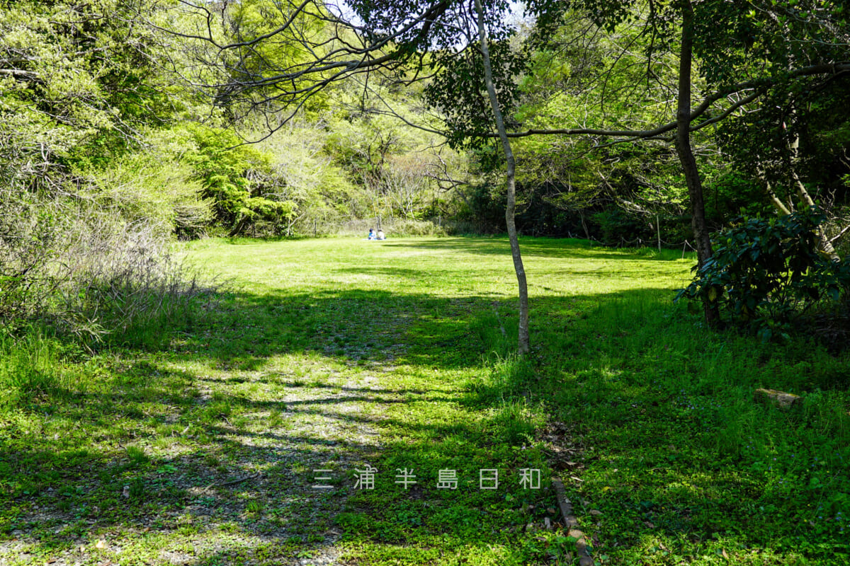 池子の森自然公園・緑地エリア・木立に囲まれた広場-2（撮影日：2021.04.03）