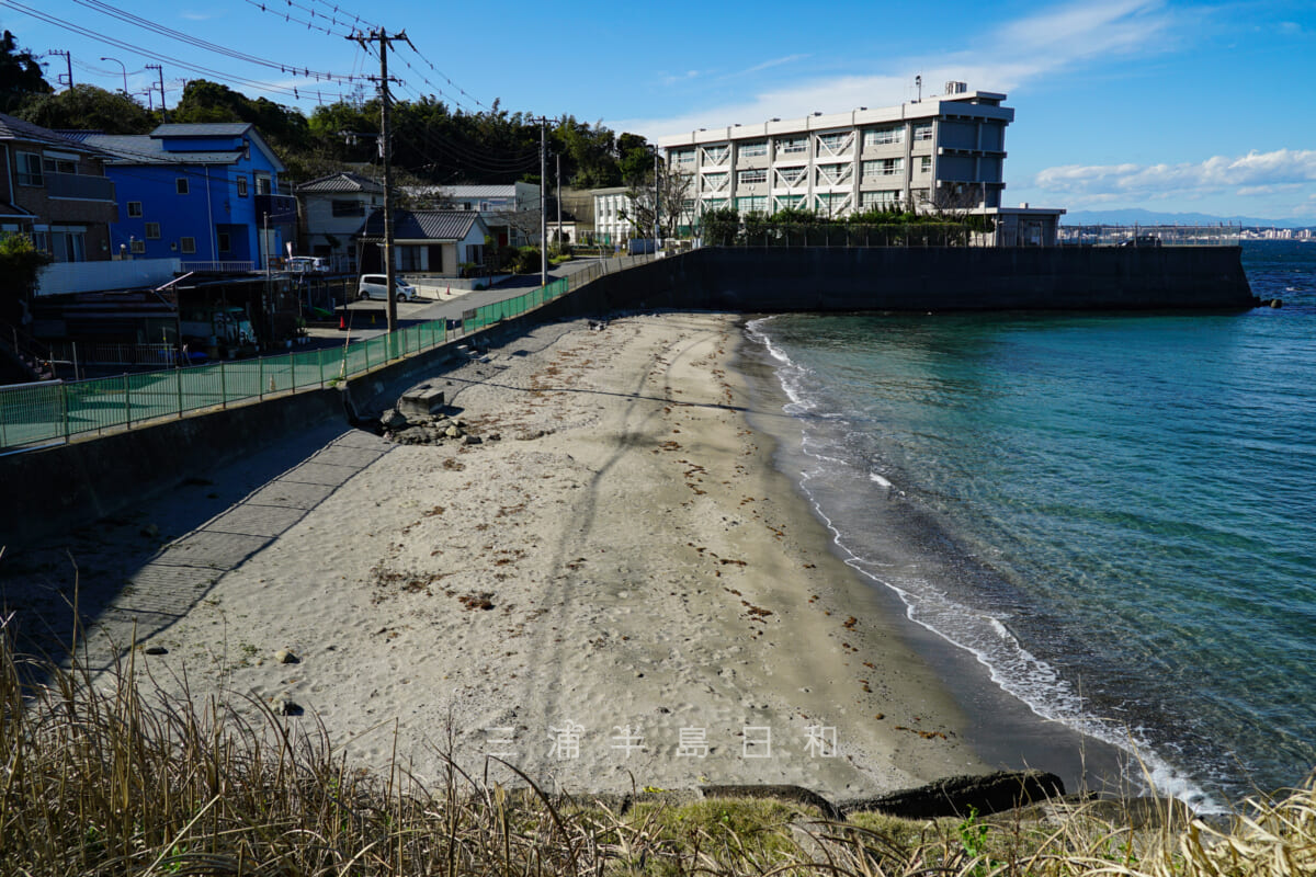 御所ヶ崎（旗山崎公園）と走水小学校の間に残る砂浜（撮影日：2021.11.12）