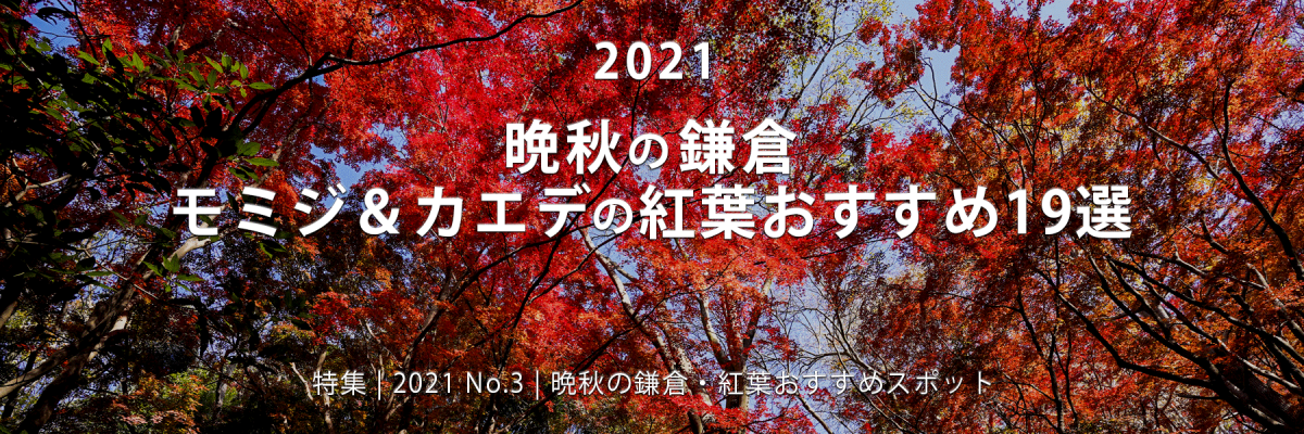 【2021 No.3】特集 | 晩秋の鎌倉・モミジ＆カエデの紅葉おすすめ19選