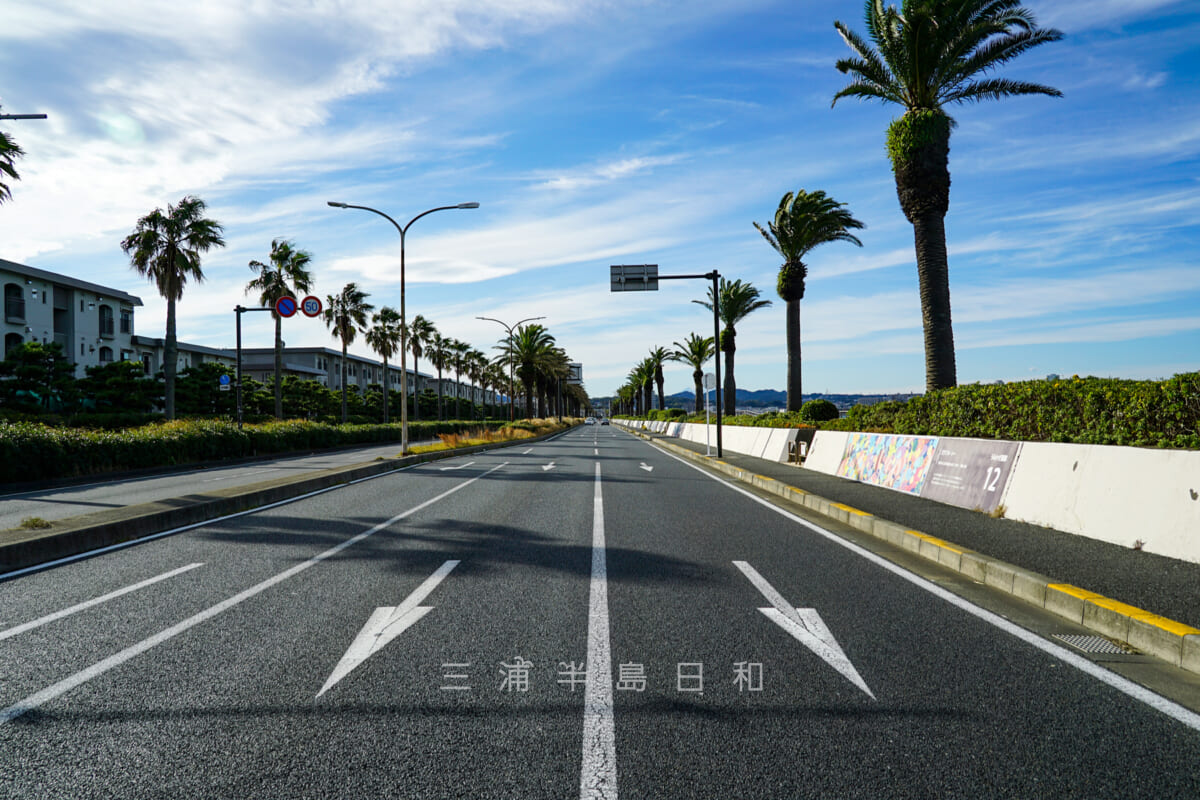 馬堀海岸・通称「まぼちょく」(国道16号、横断歩道から撮影)(撮影日:2021.11.12)