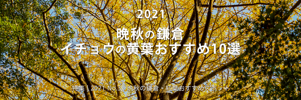 【2021 No.3】特集 | 晩秋の鎌倉・イチョウの黄葉おすすめ10選