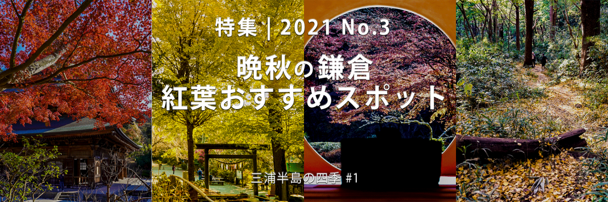 【2021 No.3】特集 | 晩秋の鎌倉・紅葉おすすめスポット