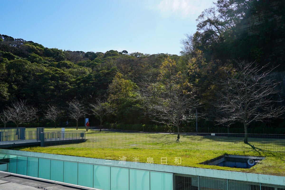 横須賀美術館・山の広場（撮影日：2021.11.12）