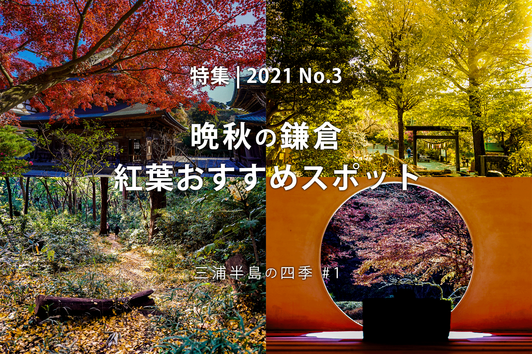 【2021 No.3】特集 | 晩秋の鎌倉・紅葉おすすめスポット