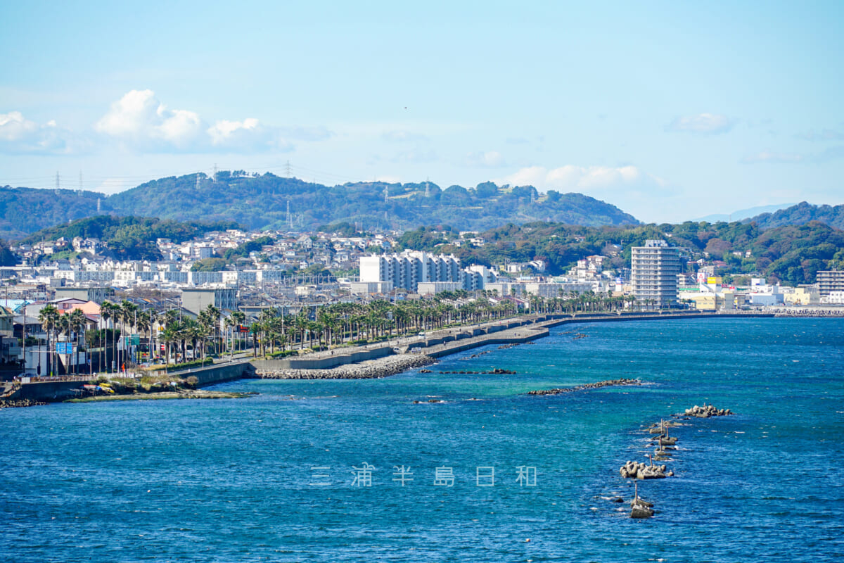 馬堀海岸・破崎緑地から見た全景（撮影日：2021.11.12）