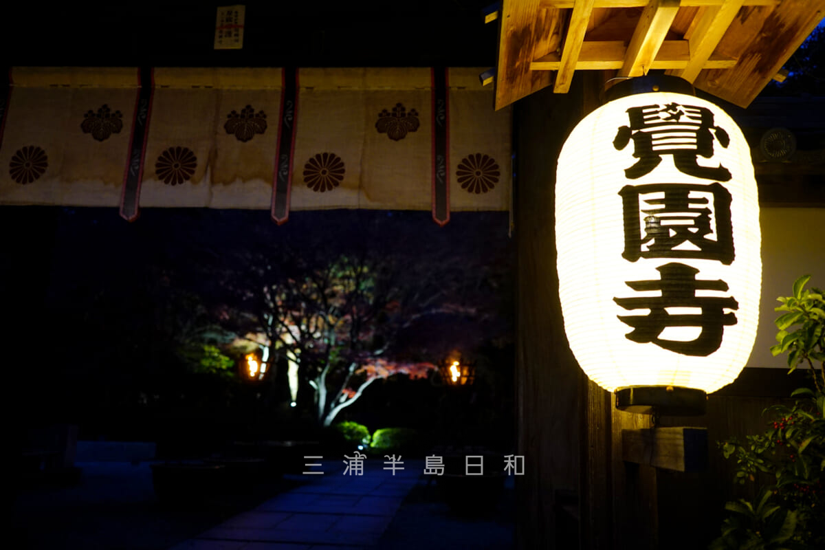 覚園寺・明かりが灯された「覚園寺」の提灯（撮影日：2021.12.10）