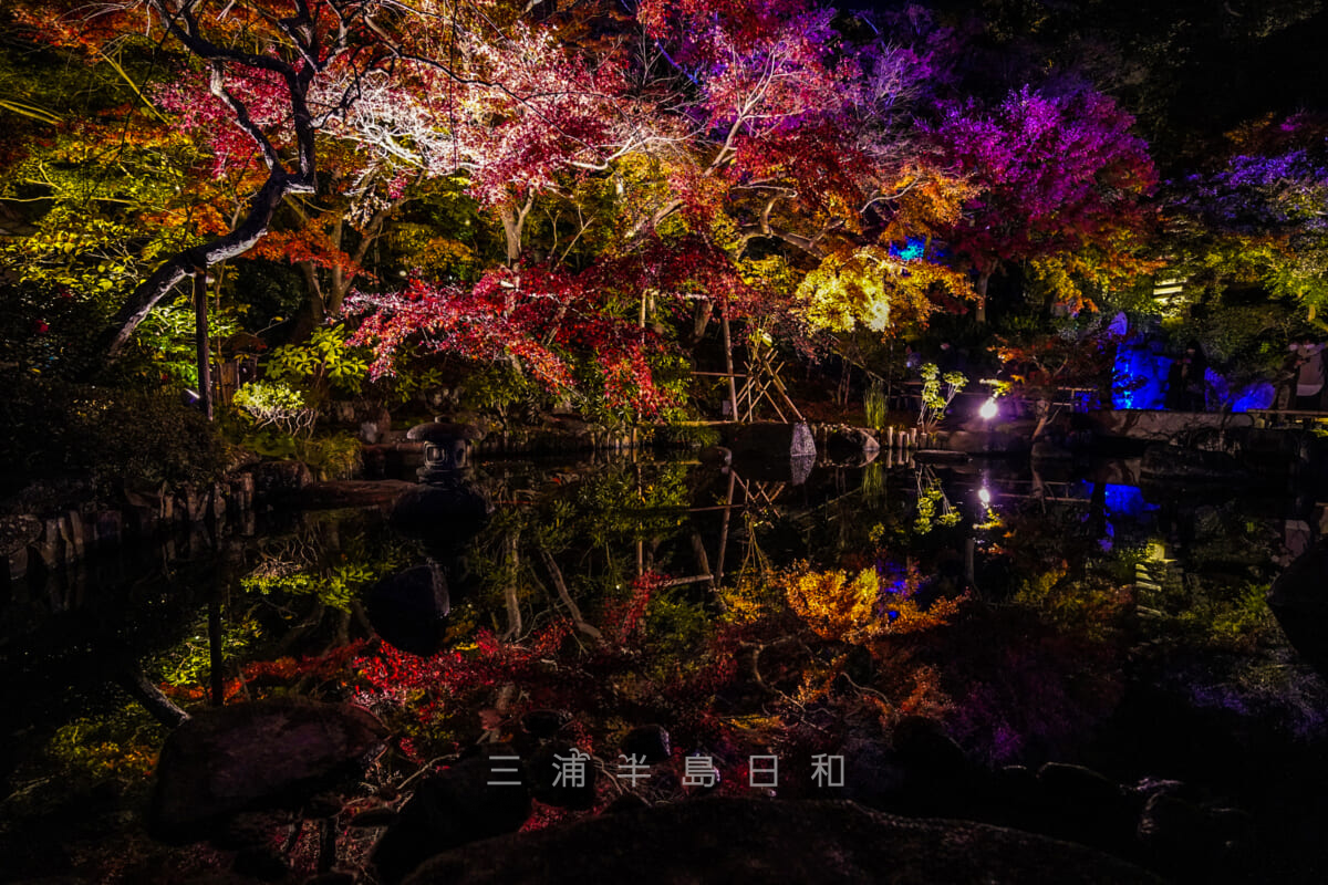 長谷寺・放生池の紅葉ライトアップ（撮影日：2021.12.03）