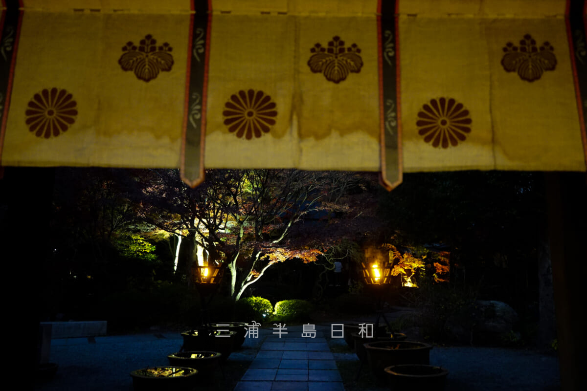 覚園寺・山門から見たライトアップされた境内(撮影日:2021.12.10)