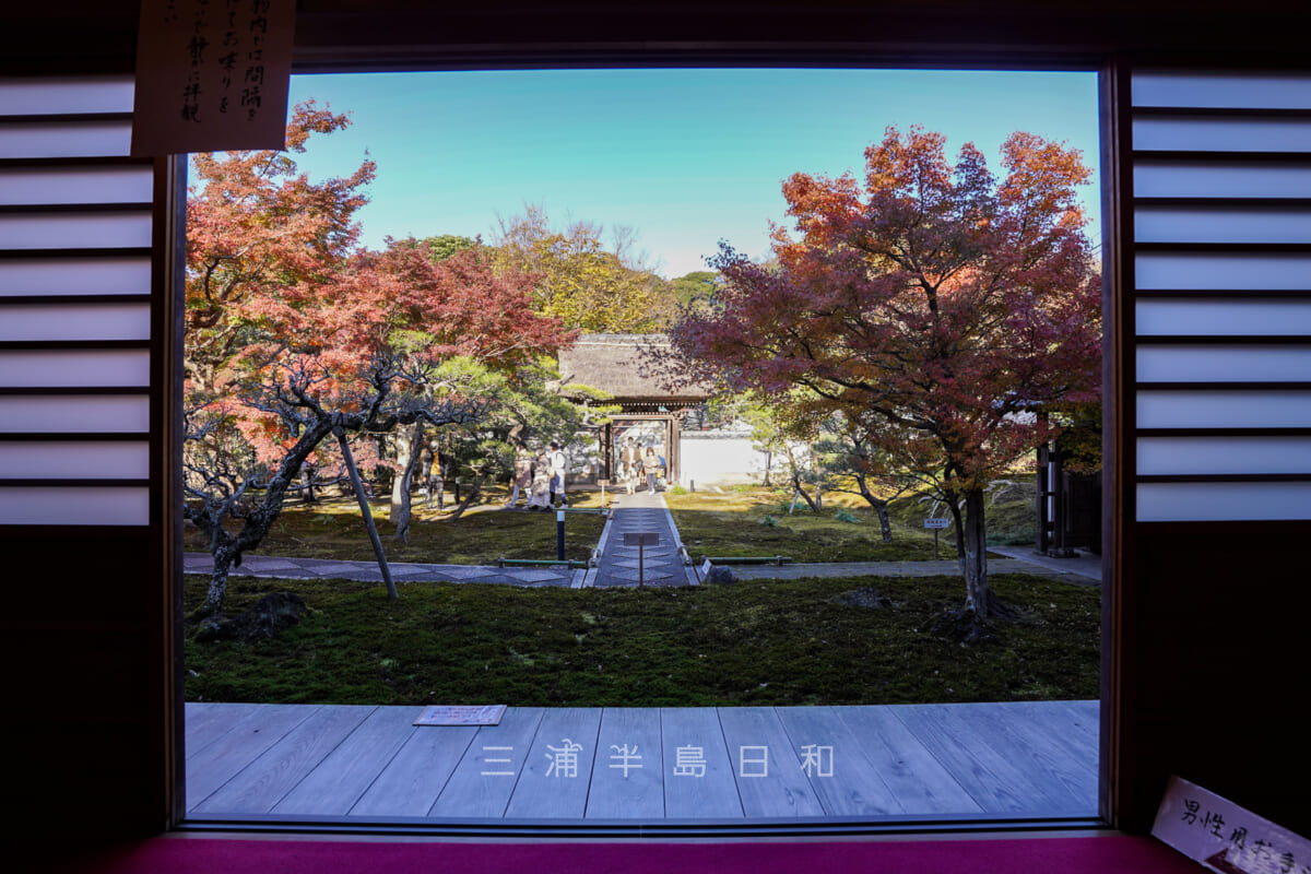 長寿寺・本堂から見た庭園（撮影日：2021.12.03）