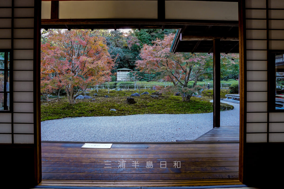 長寿寺・書院から望む枯山水庭園の紅葉（撮影日：2021.12.03）