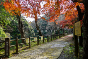 散在ガ池森林公園（鎌倉湖）