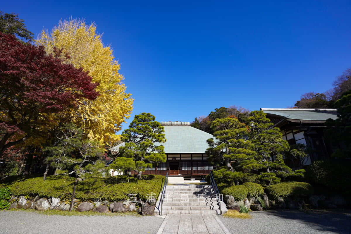 浄妙寺・境内の黄葉と紅葉の競演（撮影日：2021.12.03）