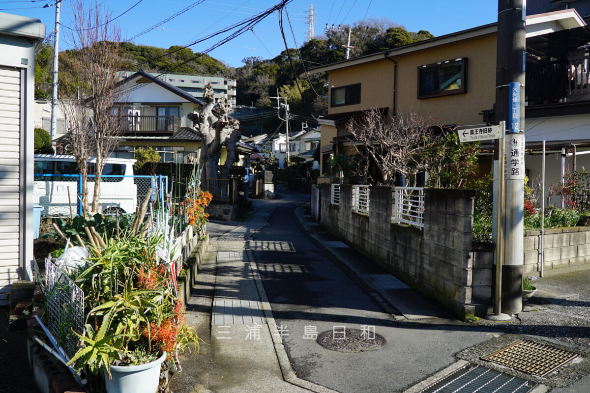 薬王寺旧跡・大通り（久里浜田浦線）からの入口（撮影日：2022.01.12）