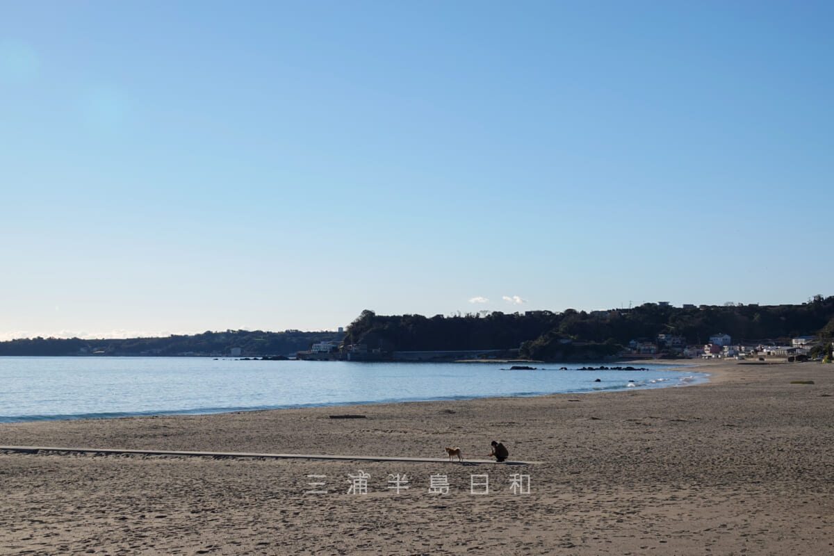 菊名海岸（撮影日：2022.01.01）