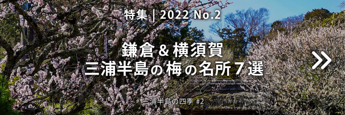 【2022 No.2】特集 | 鎌倉＆横須賀 三浦半島の梅の名所7選