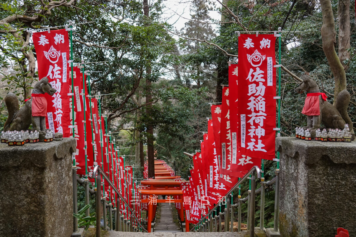 佐助稲荷神社・拝殿の前より参道を望む（撮影日：2022.01.27）