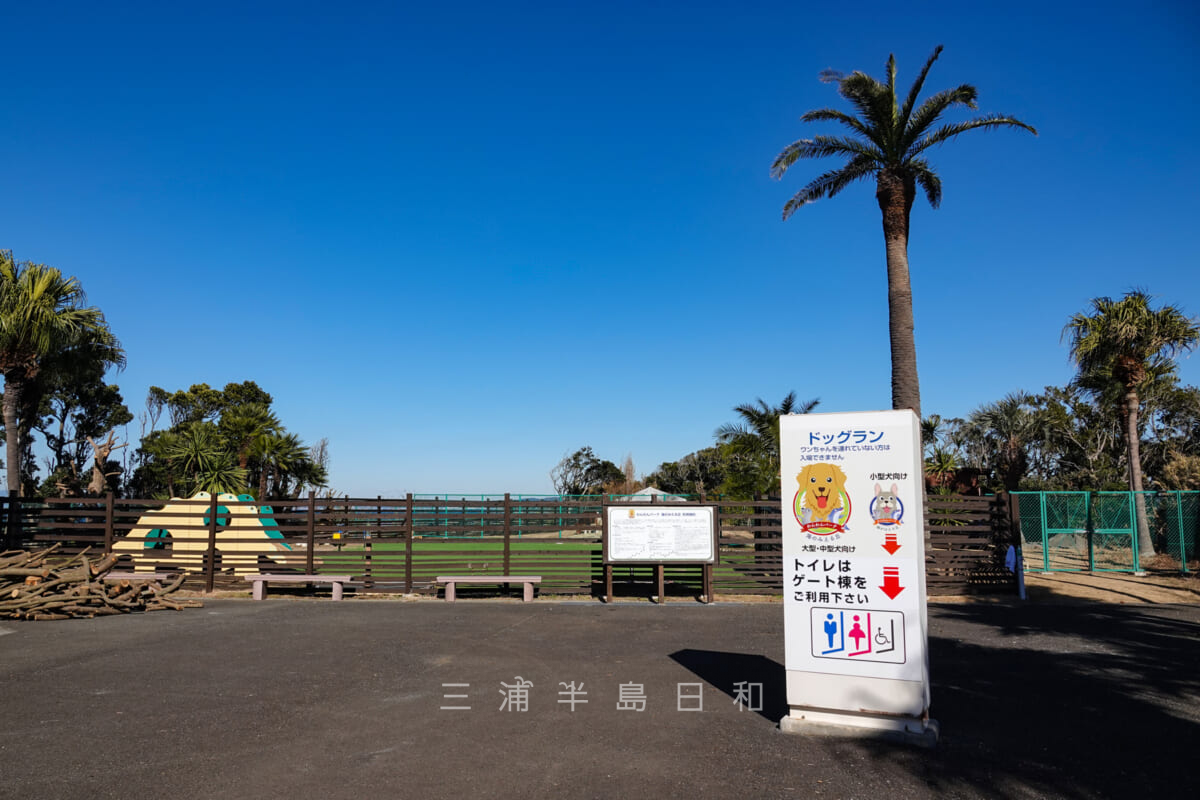 京急油壺温泉キャンプパーク・ドッグラン（大型・中型犬向け）（撮影日：2022.01.31）