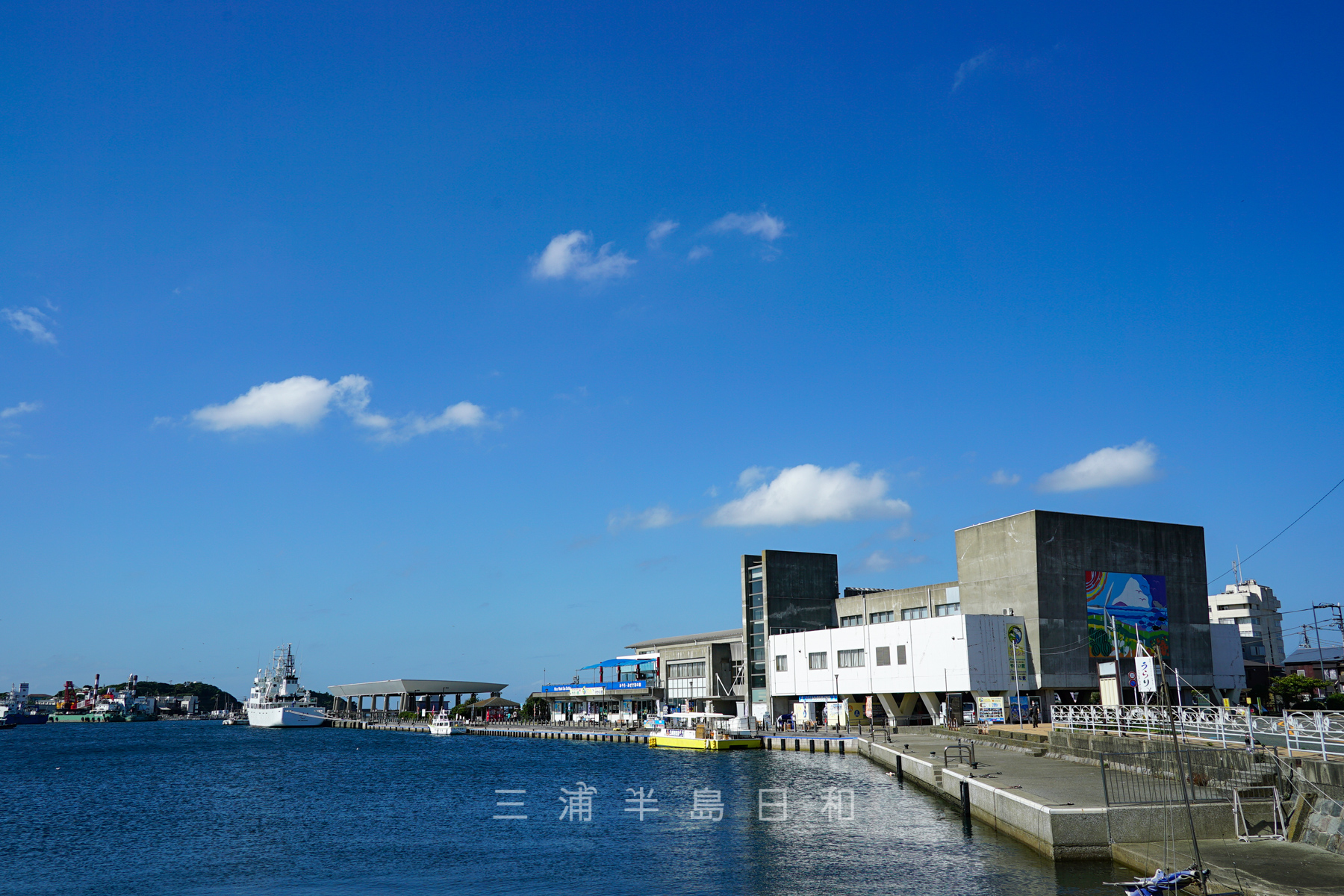 うらりマルシェ 三崎魚市場 三崎まぐろと三浦野菜の産直センターを中心とした複合施設 うらりマルシェ 三崎魚市場 三崎まぐろと三浦野菜の産直センターを中心とした複合施設