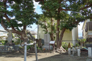 和田塚（和田義盛の墓）