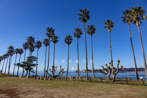 小坪飯島公園